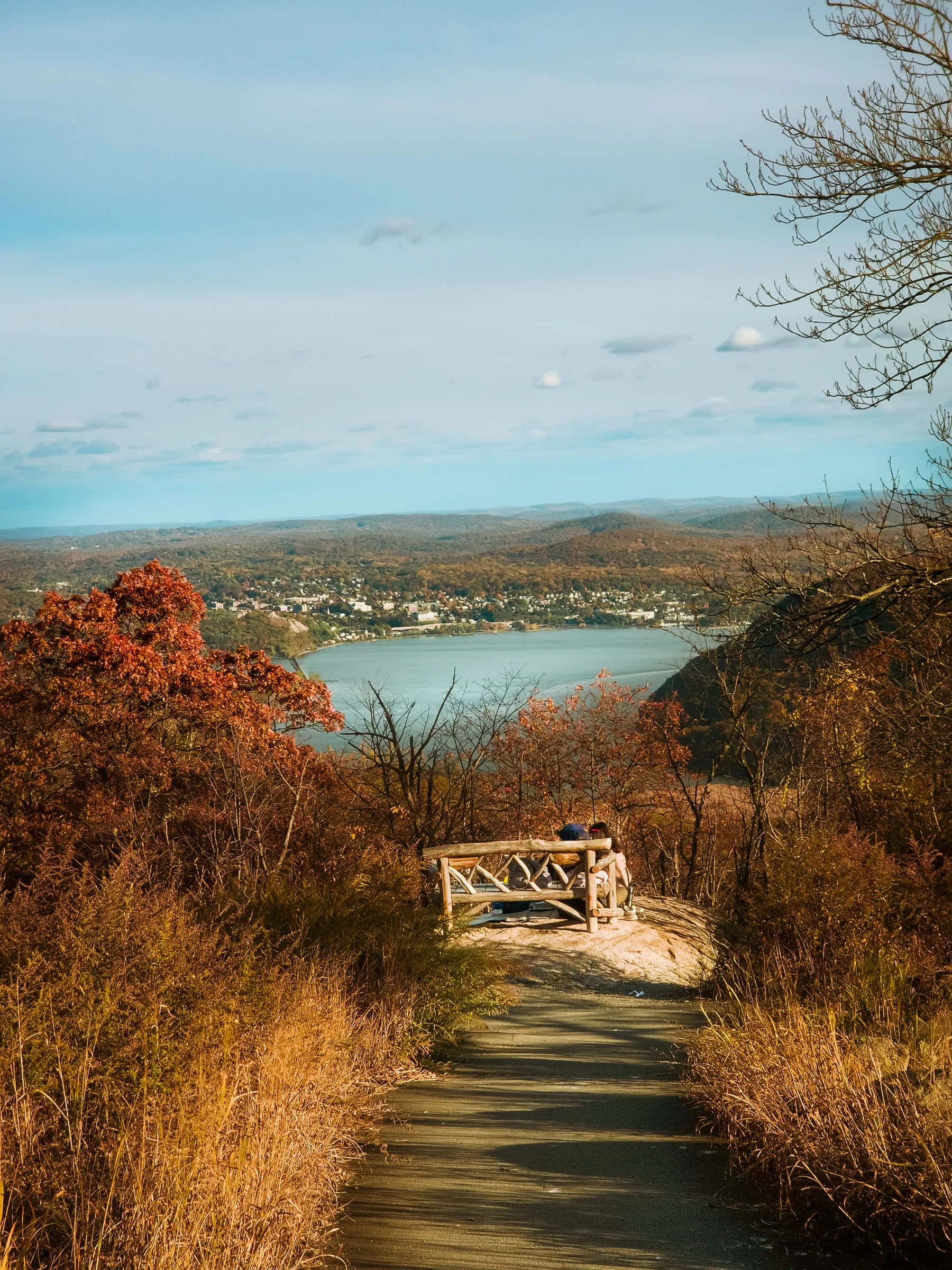 Wooden bench on a scenic overlook with autumn foliage and a lake view below.